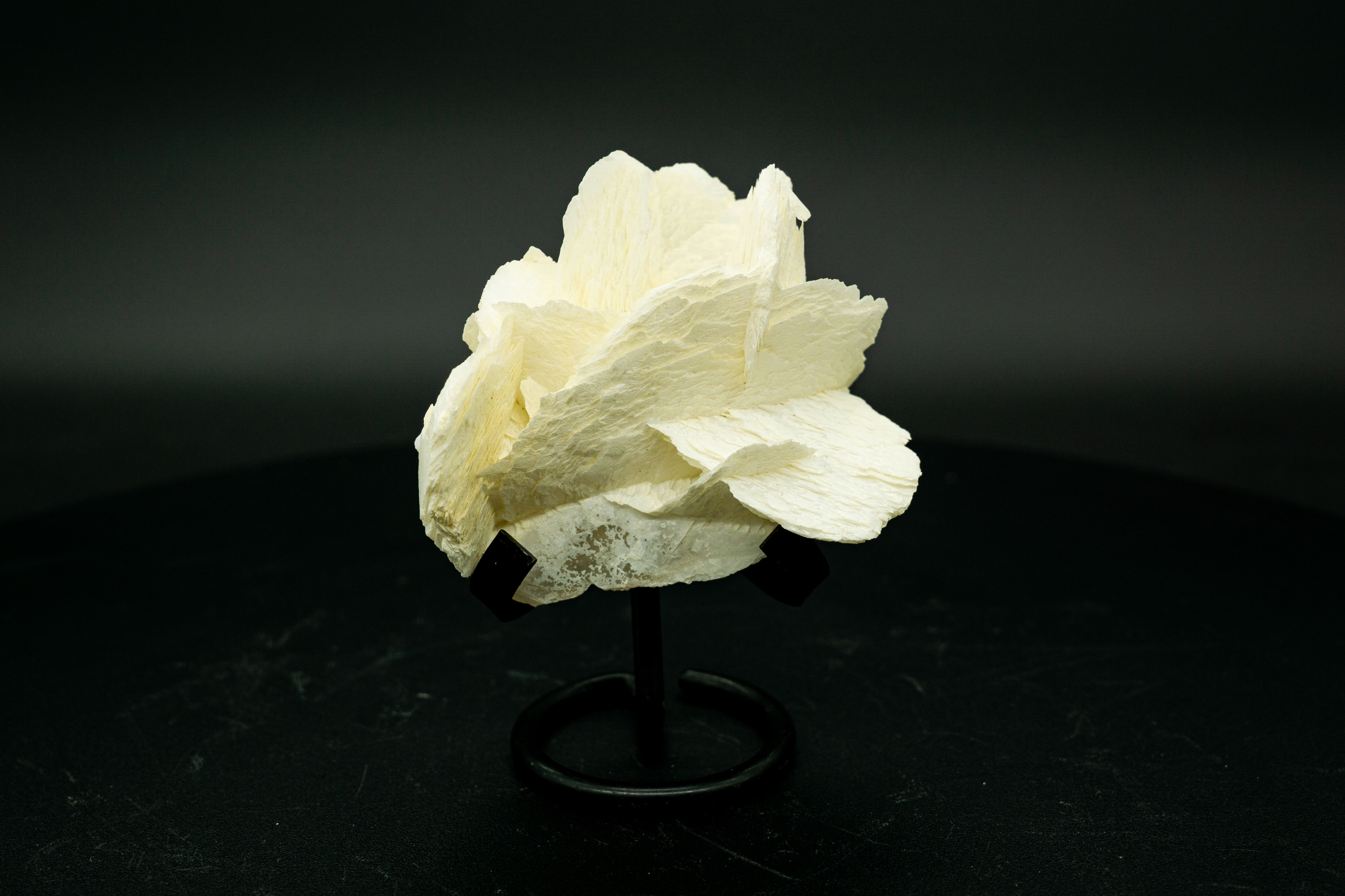 UV-Reactive White Rose Calcite Crystal with Black Stand Fujian
