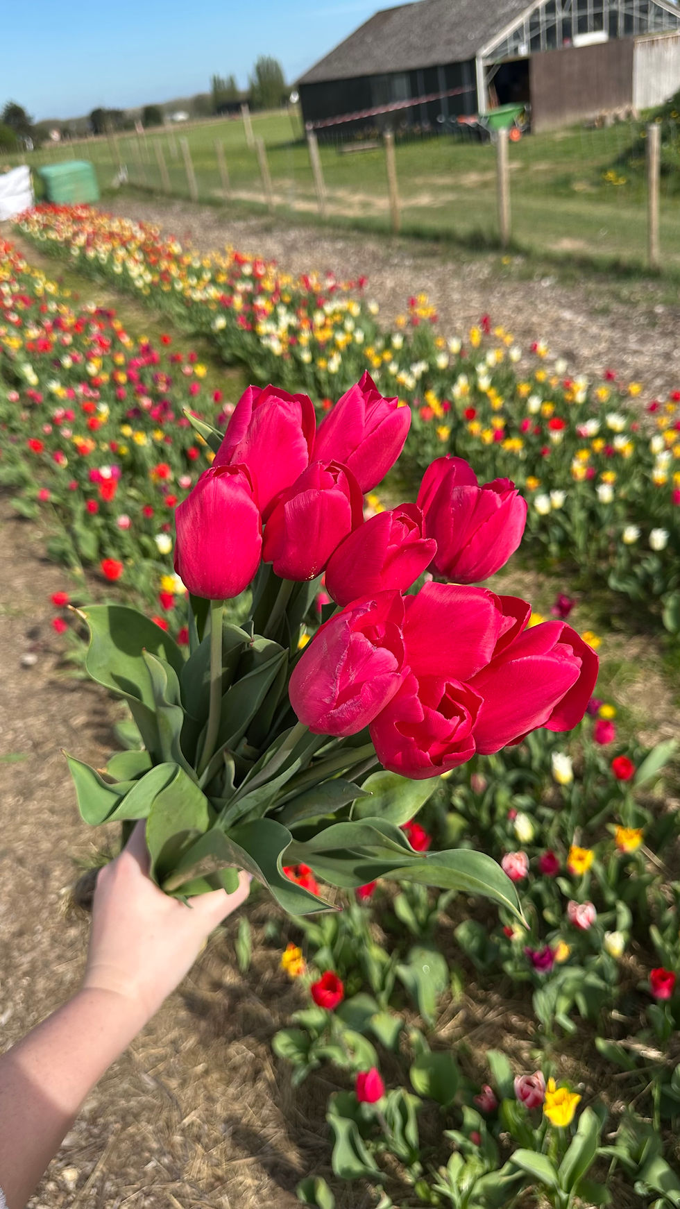 Thumbnail: 11 Plukbeurten bloemenweide