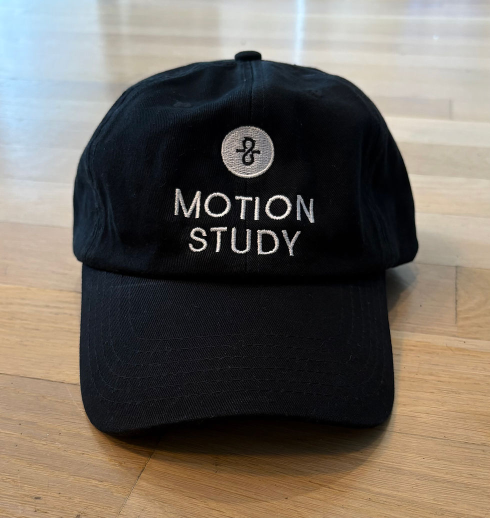 Motion Study Hat