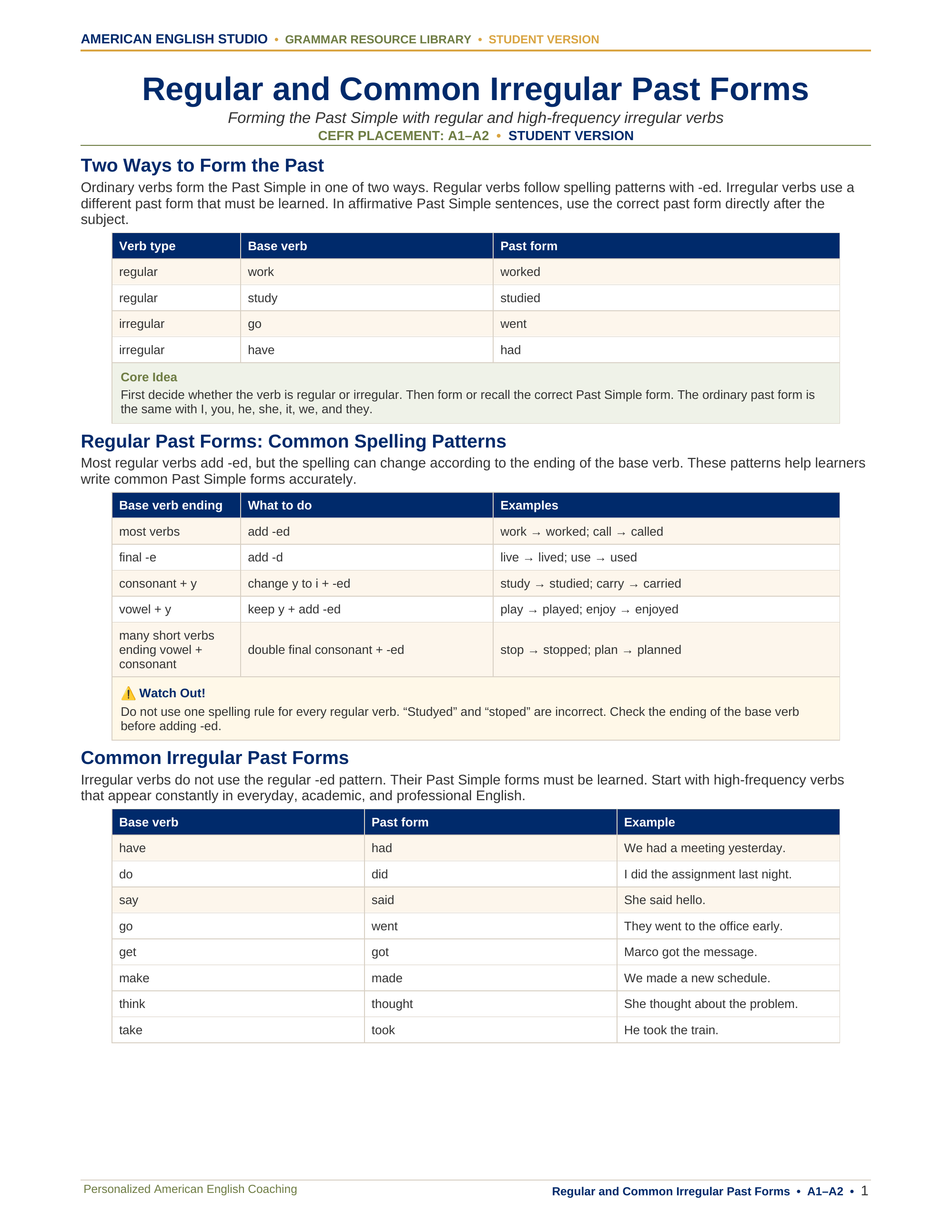Regular and Common Irregular Past Forms grammar resource preview