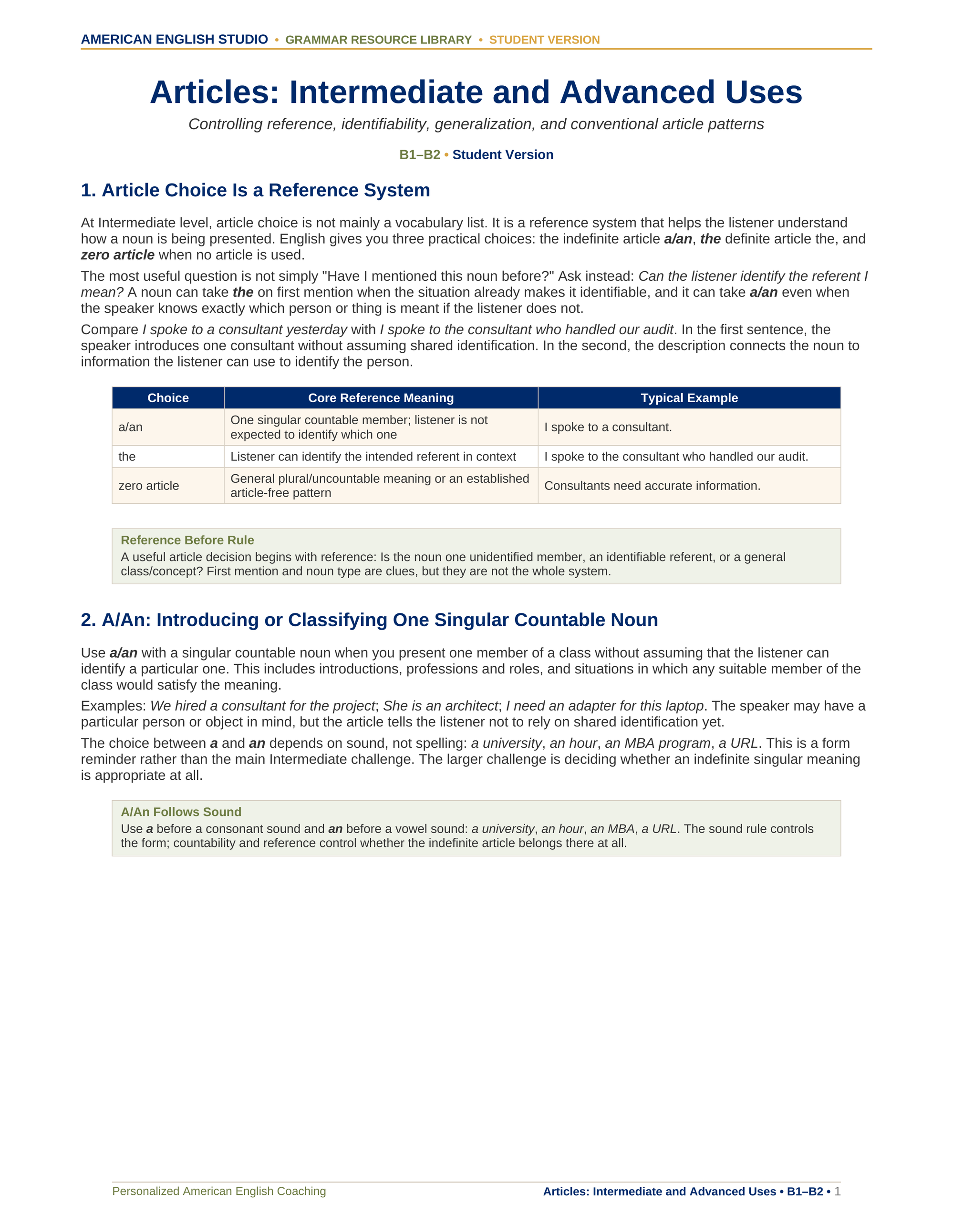 Articles: Intermediate and Advanced Uses grammar resource preview