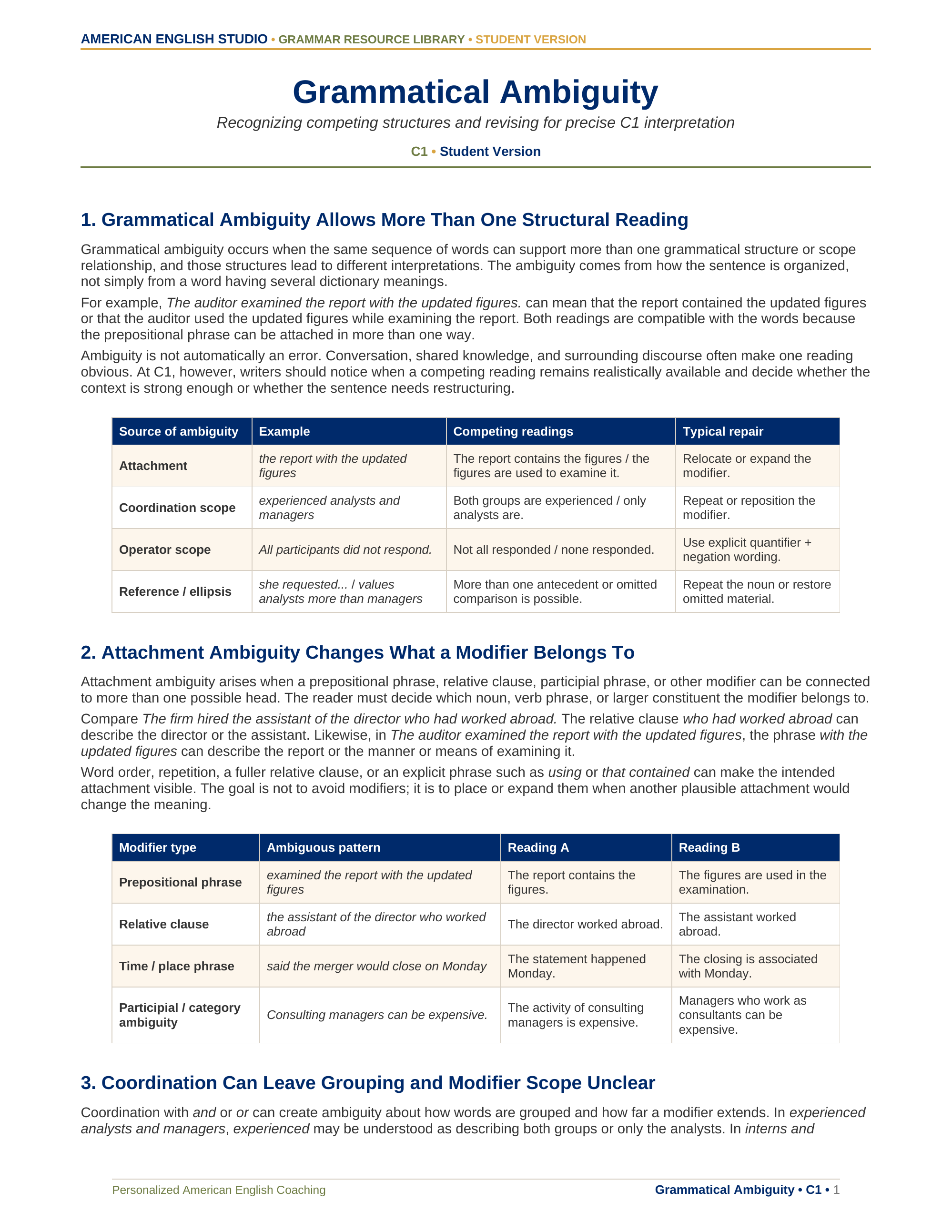 Grammatical Ambiguity grammar resource preview