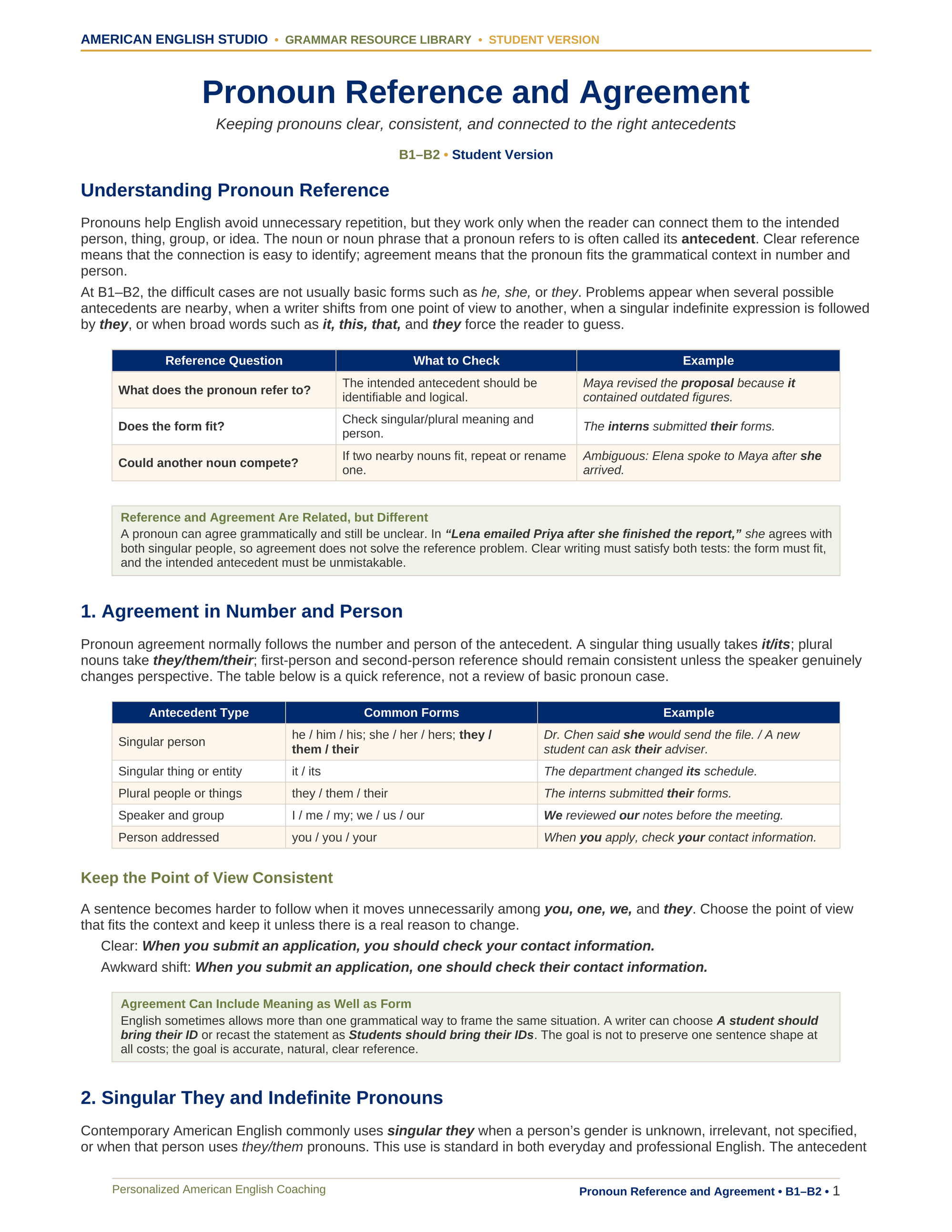 Pronoun Reference and Agreement grammar resource preview