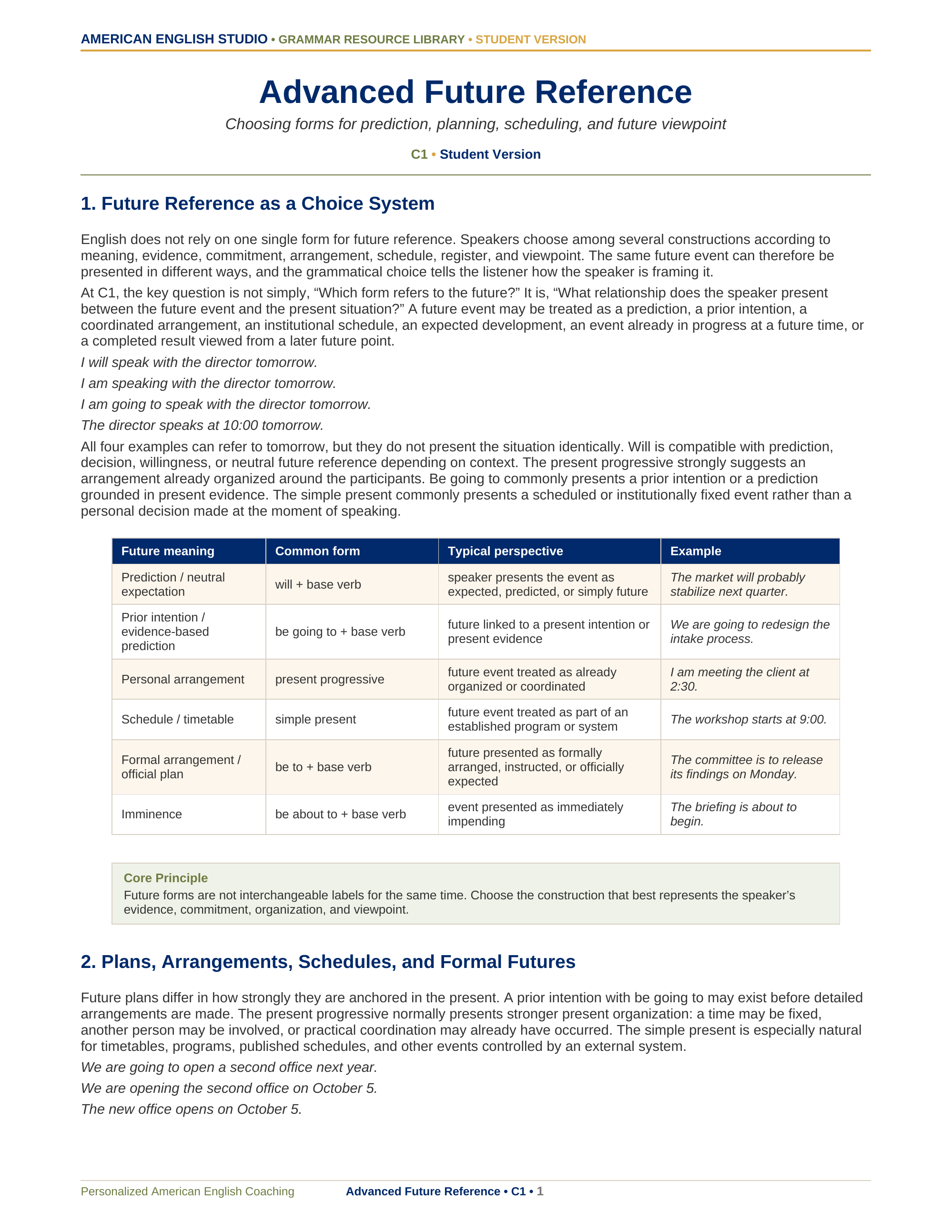 Advanced Future Reference grammar resource preview