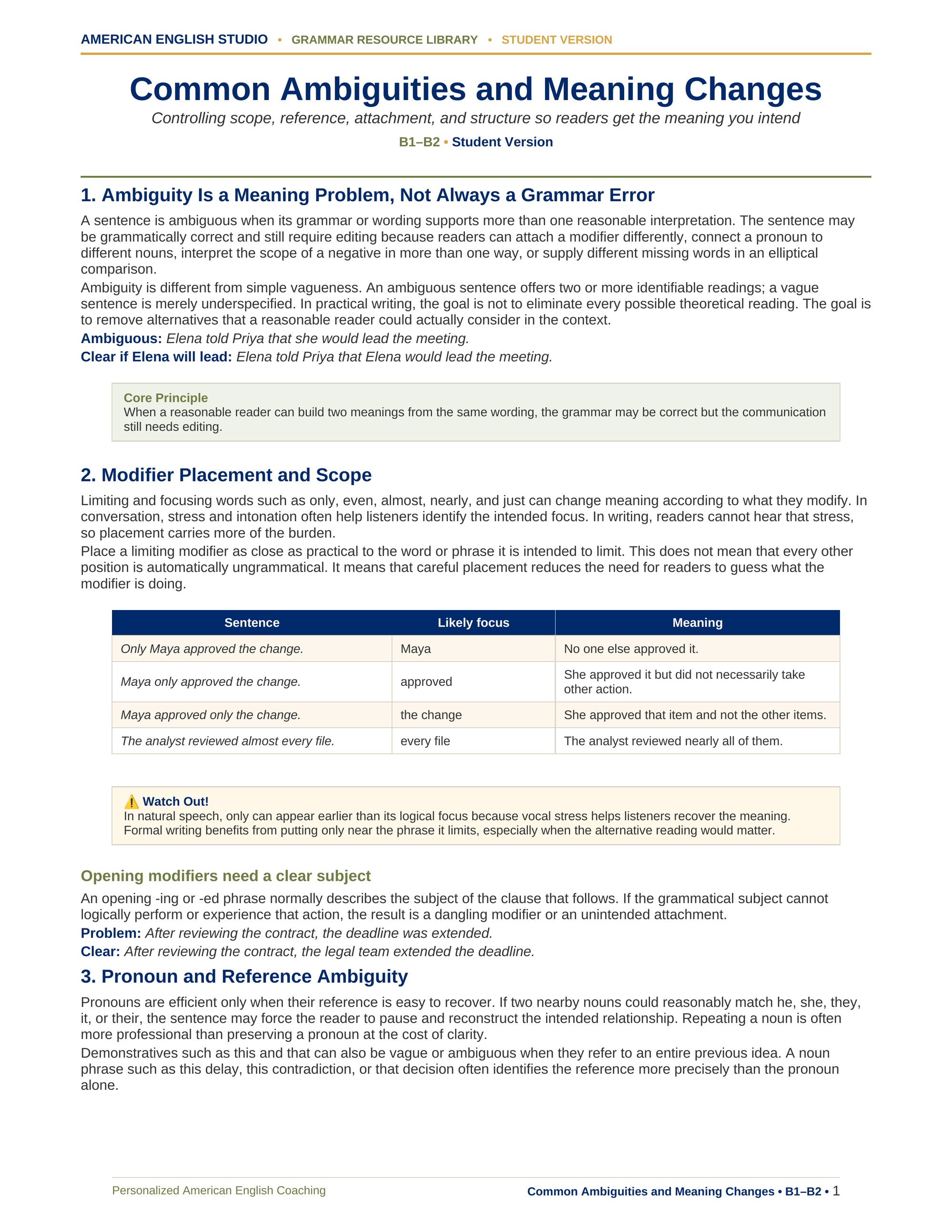 Common Ambiguities and Meaning Changes grammar resource preview