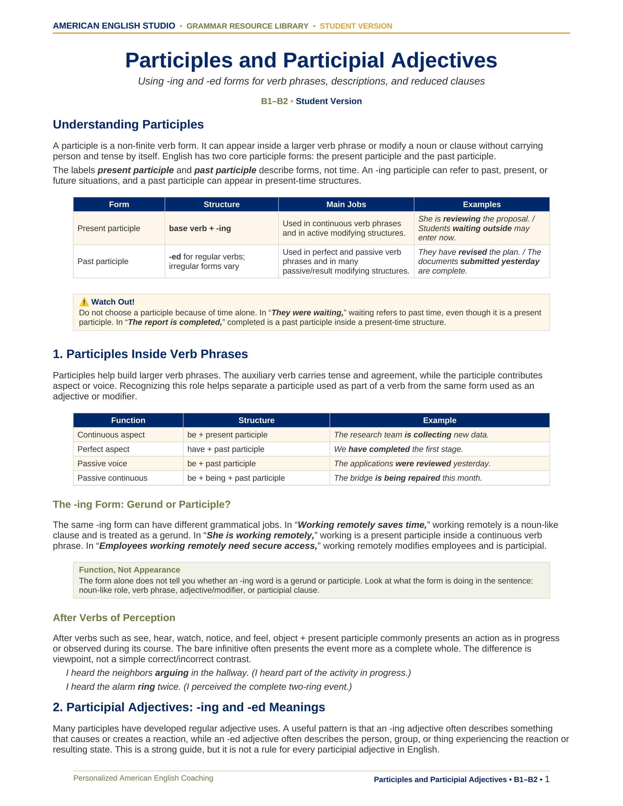 Participles and Participial Adjectives grammar resource preview