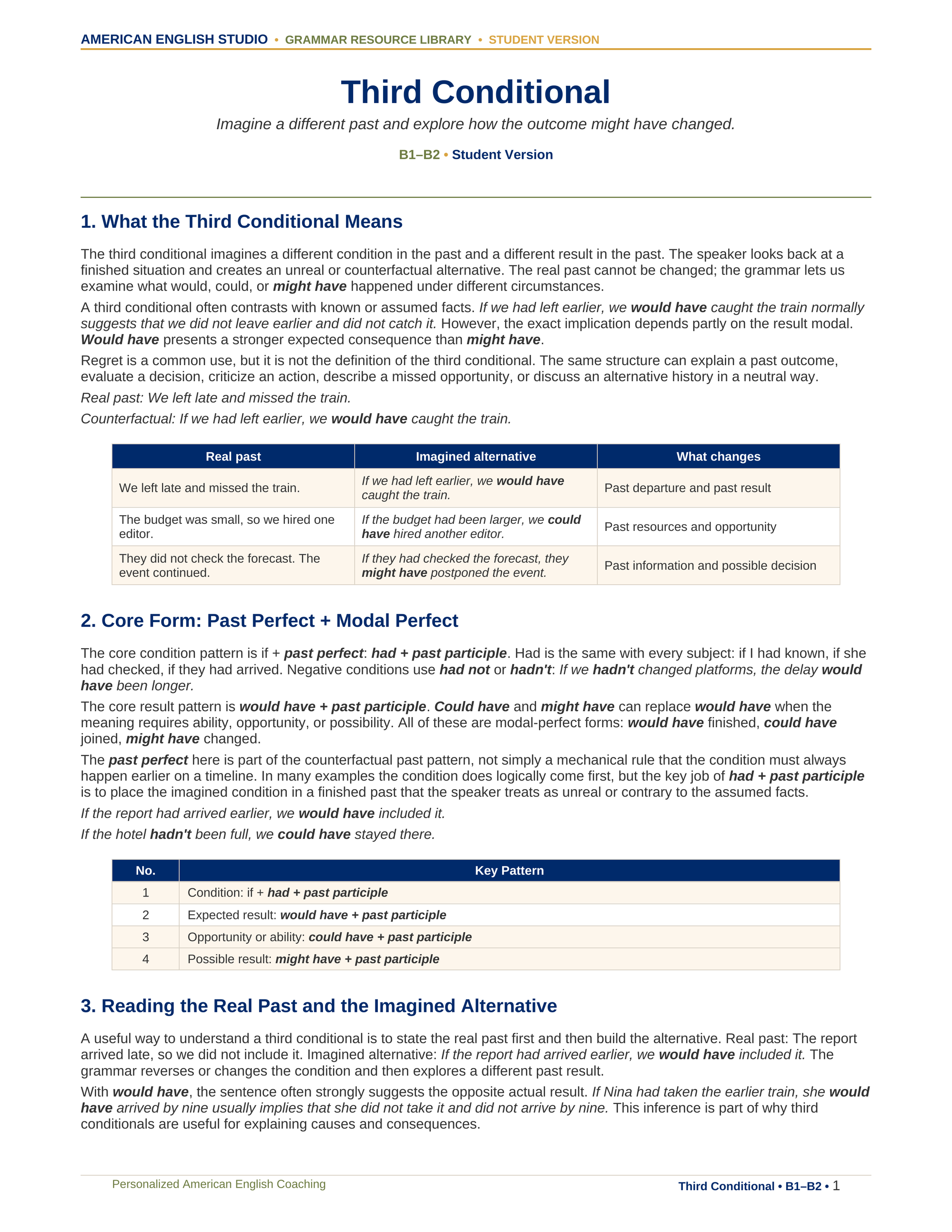 Third Conditional grammar resource preview