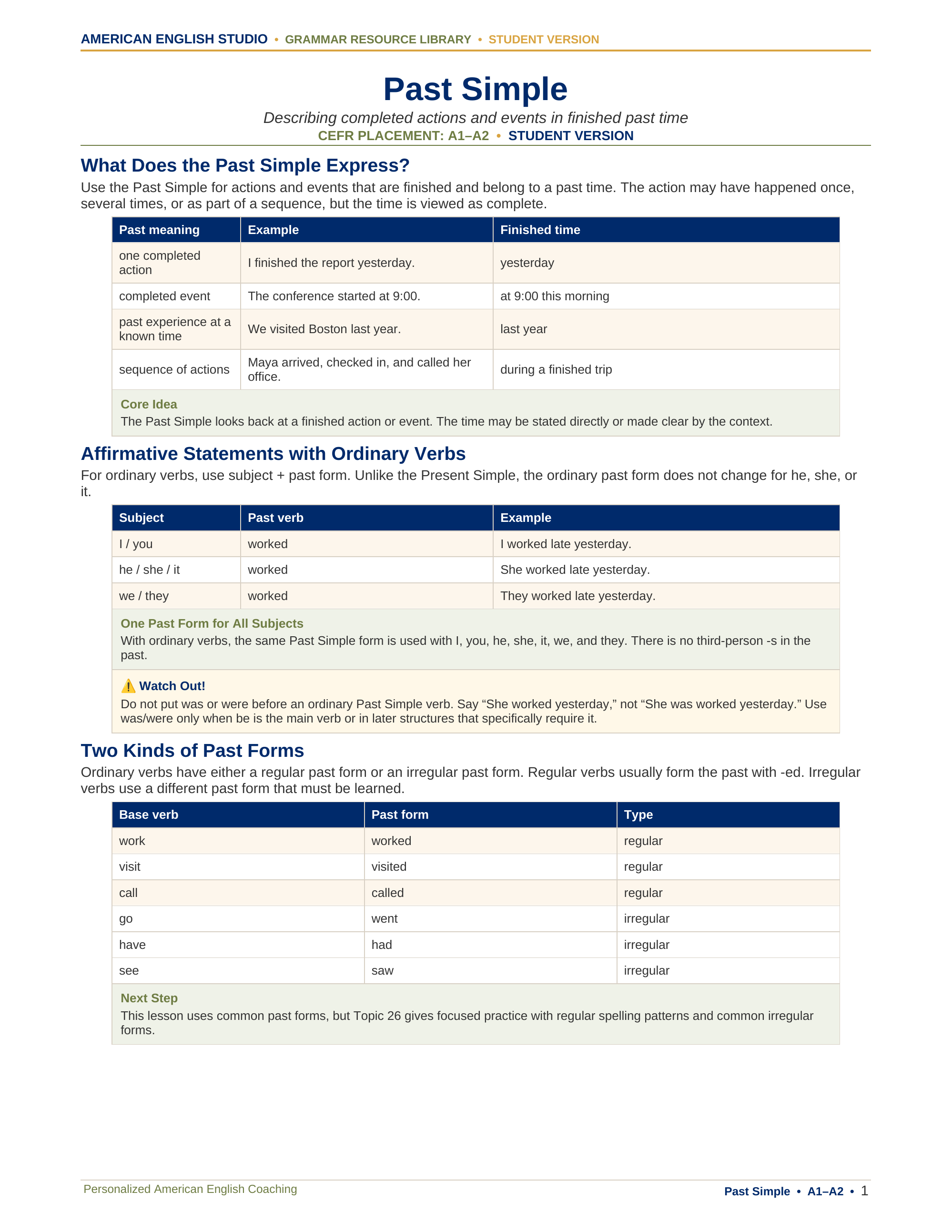 Past Simple grammar resource preview
