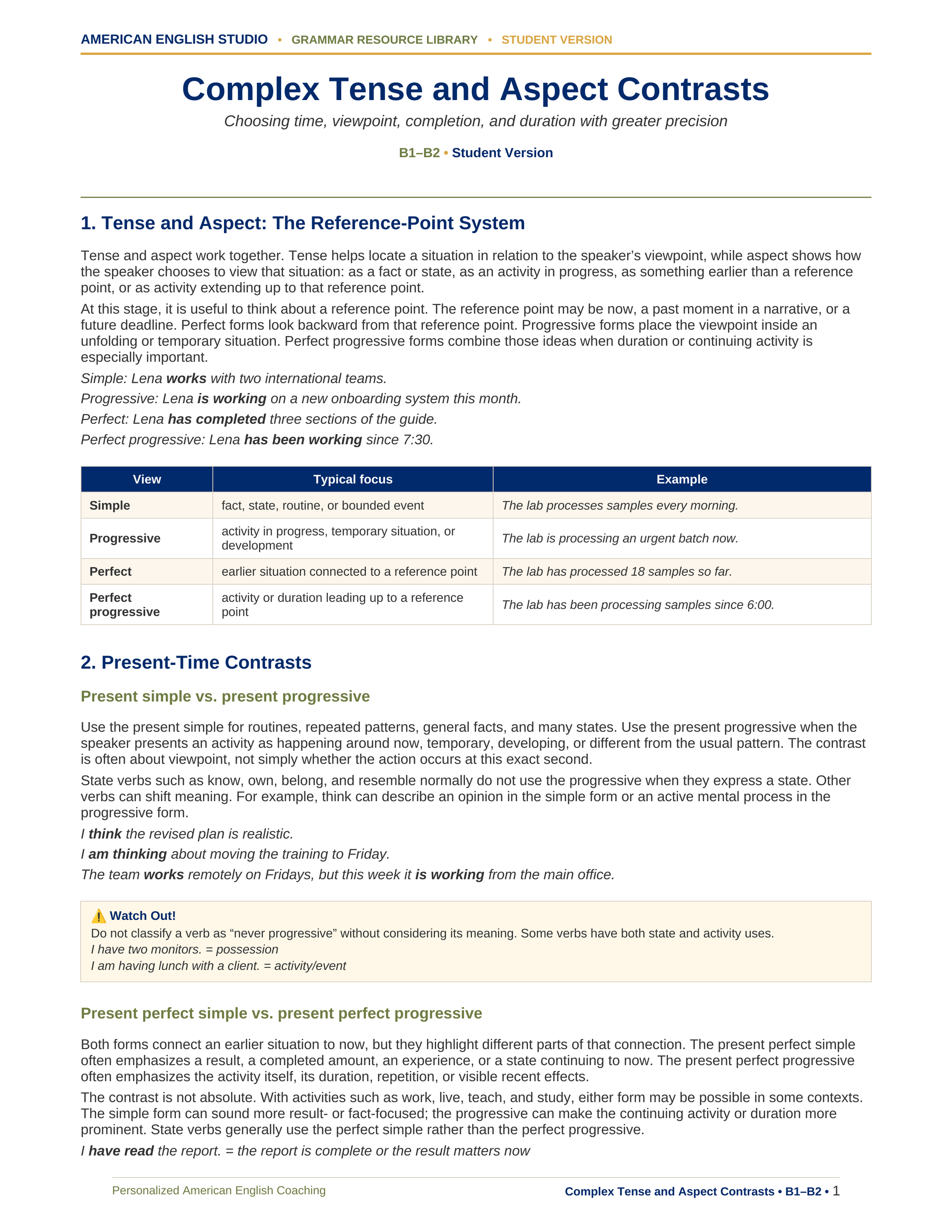 Complex Tense and Aspect Contrasts grammar resource preview