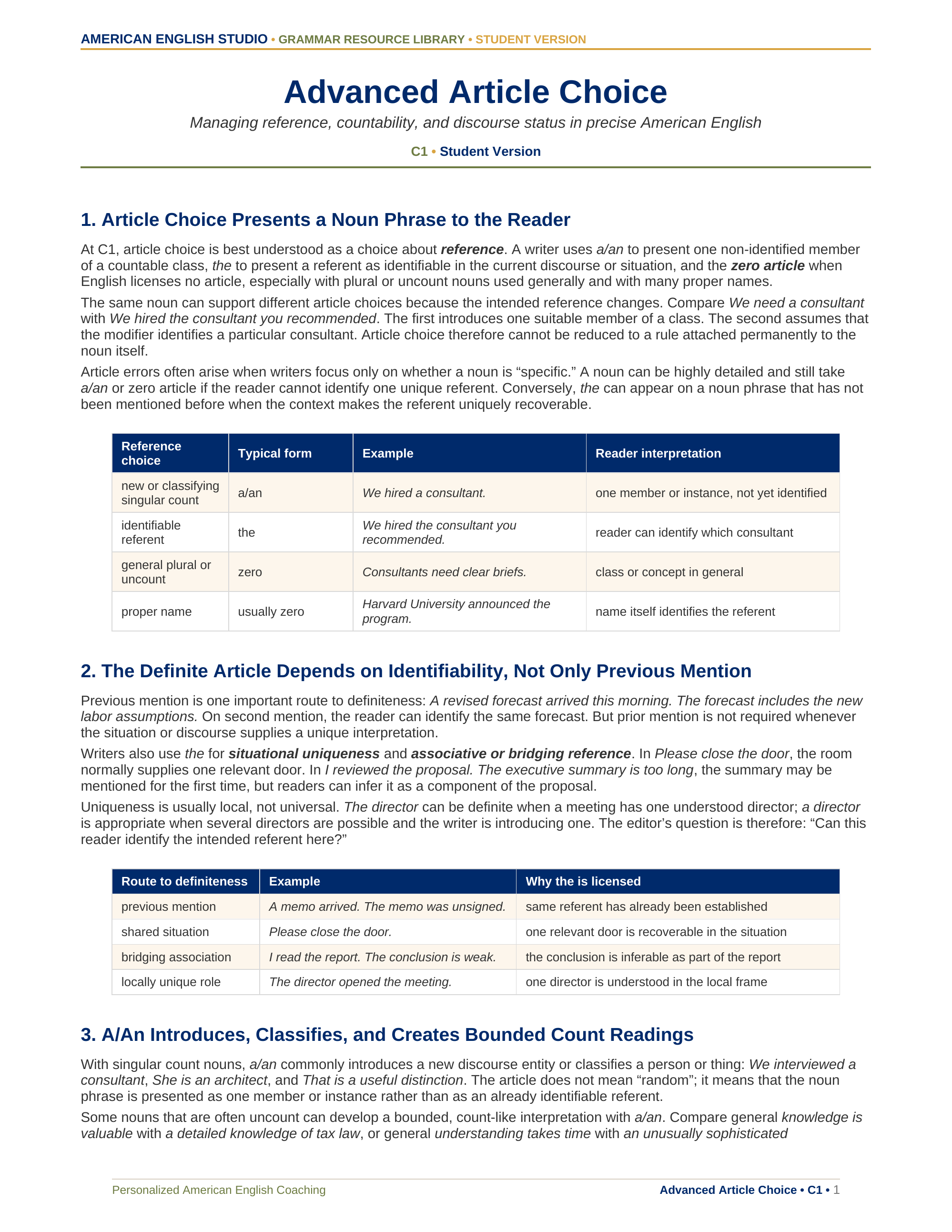 Advanced Article Choice grammar resource preview