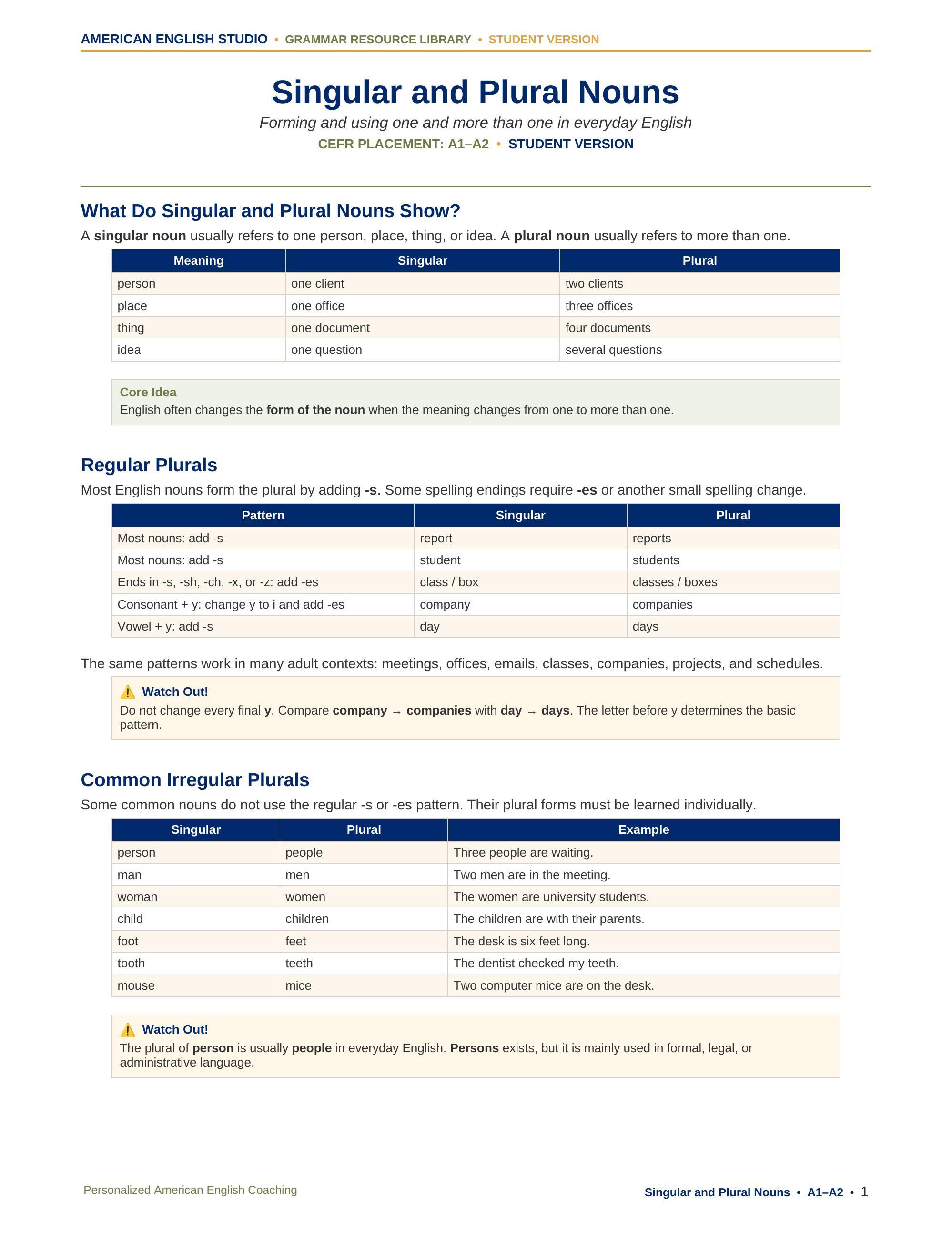 Singular and Plural Nouns grammar resource preview