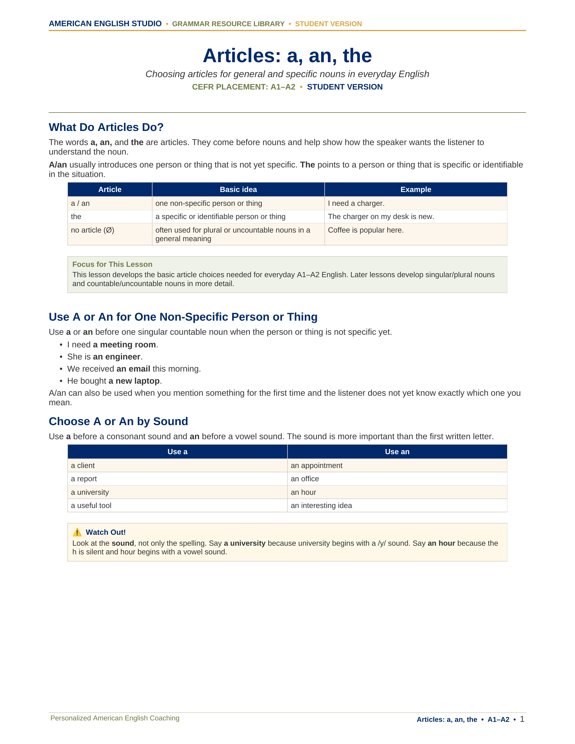 Articles: a, an, the grammar resource preview