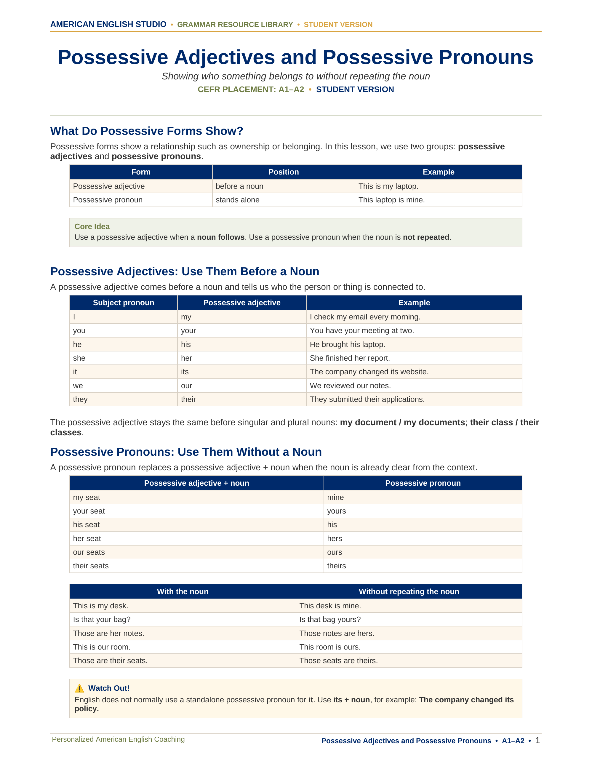 Possessive Adjectives and Possessive Pronouns grammar resource preview