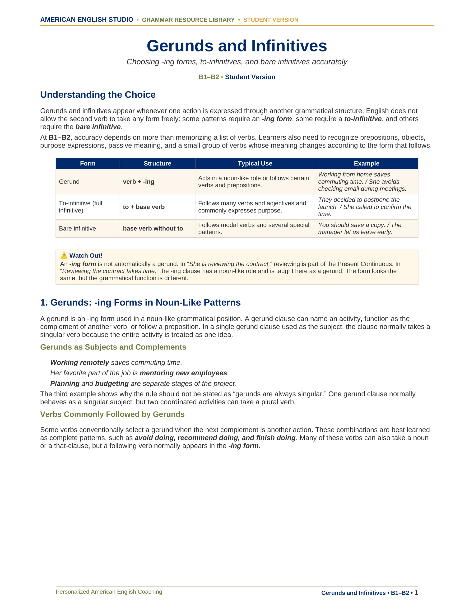 Gerunds and Infinitives grammar resource preview