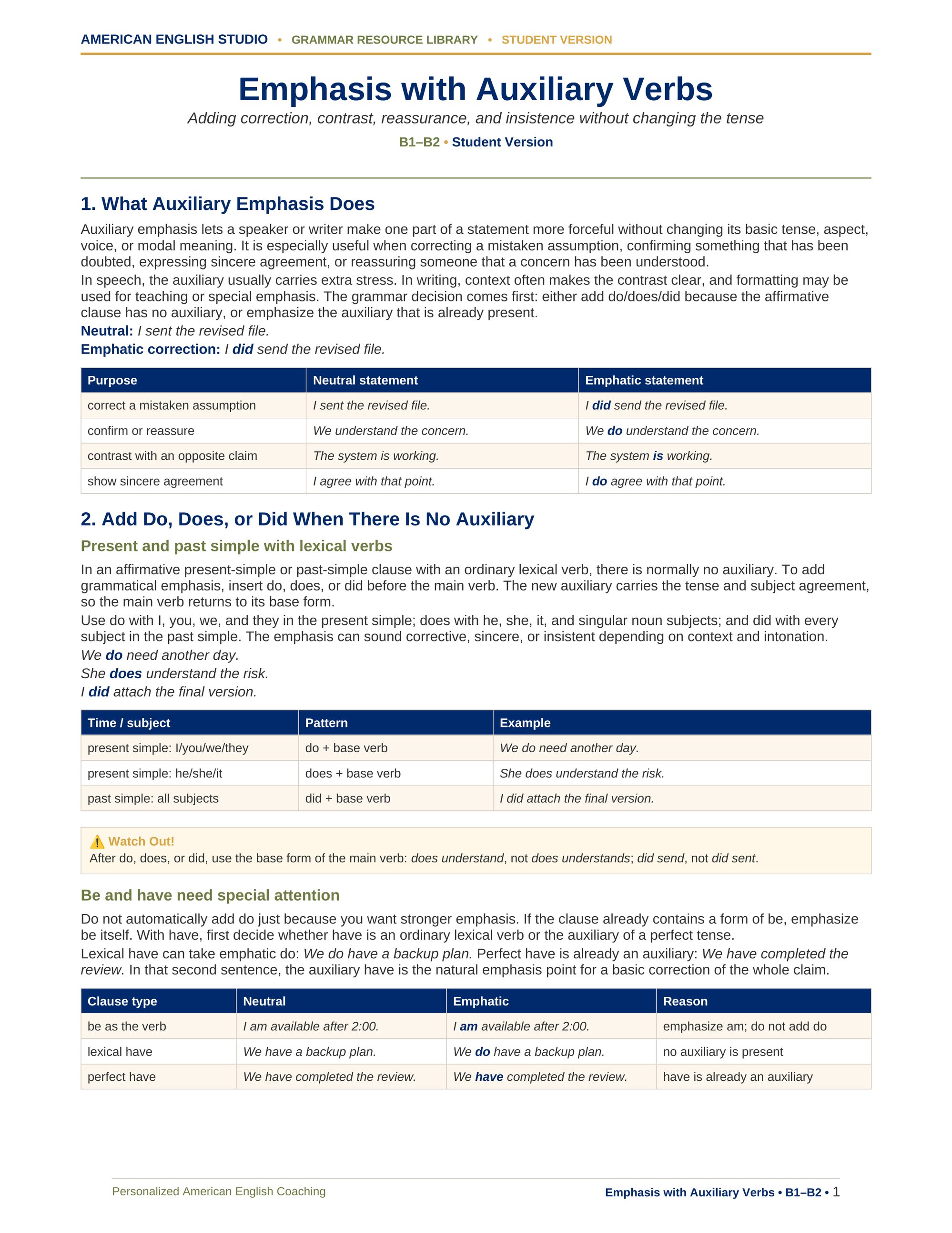 Emphasis with Auxiliary Verbs grammar resource preview