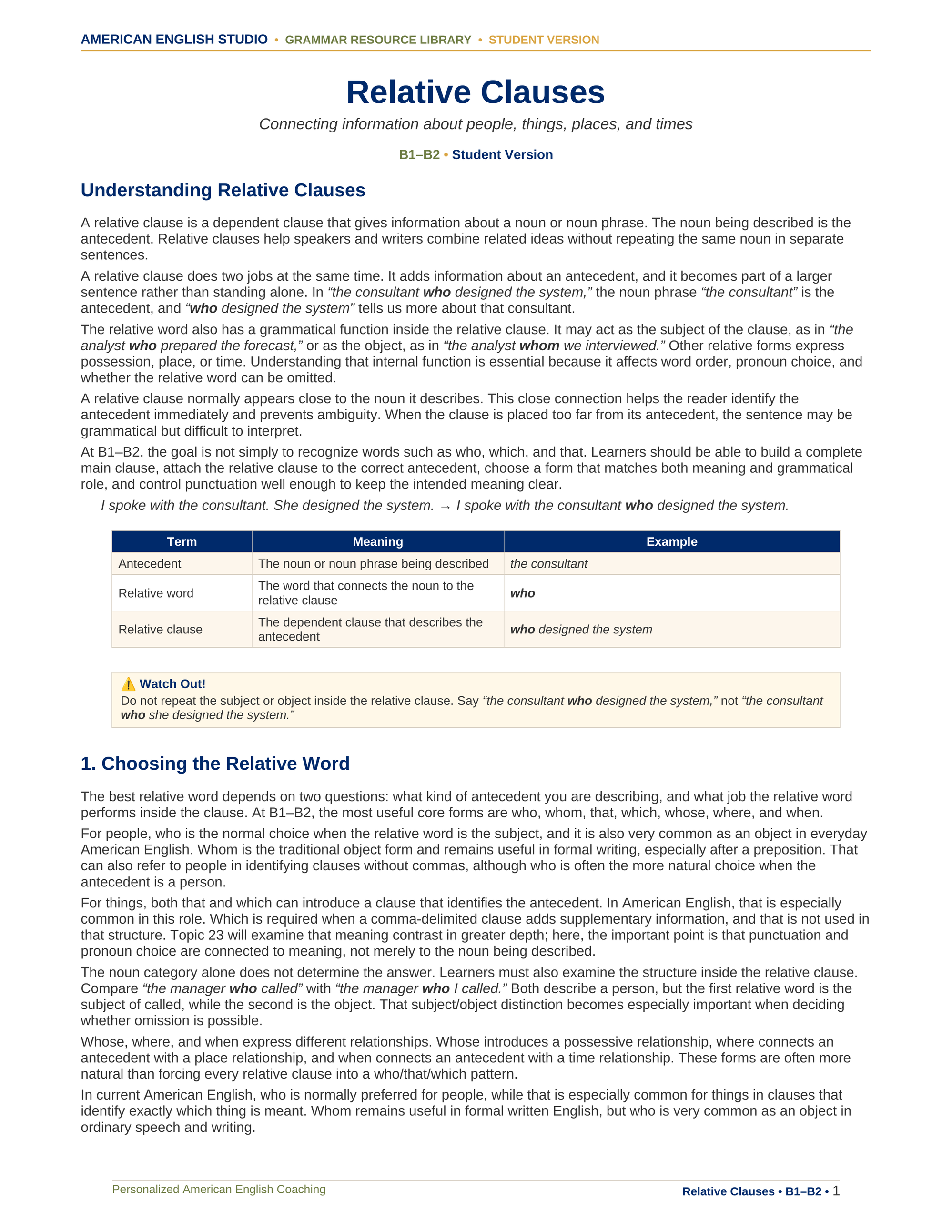 Relative Clauses grammar resource preview
