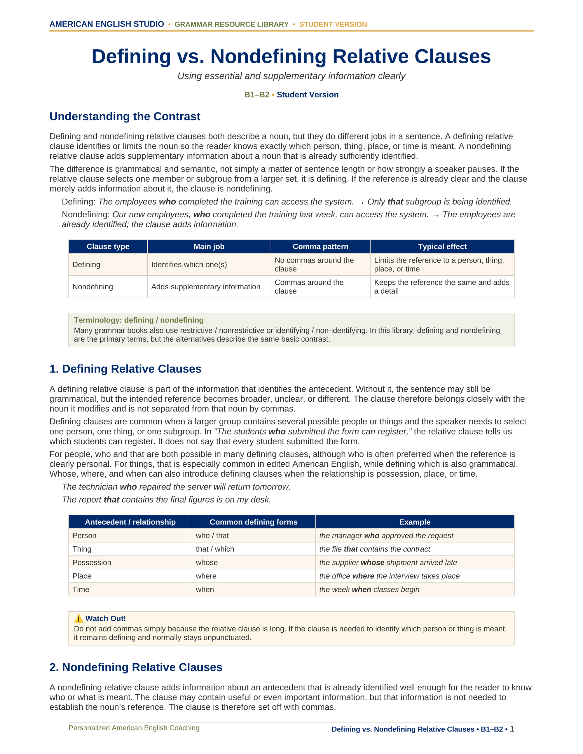 Defining vs. Nondefining Relative Clauses grammar resource preview