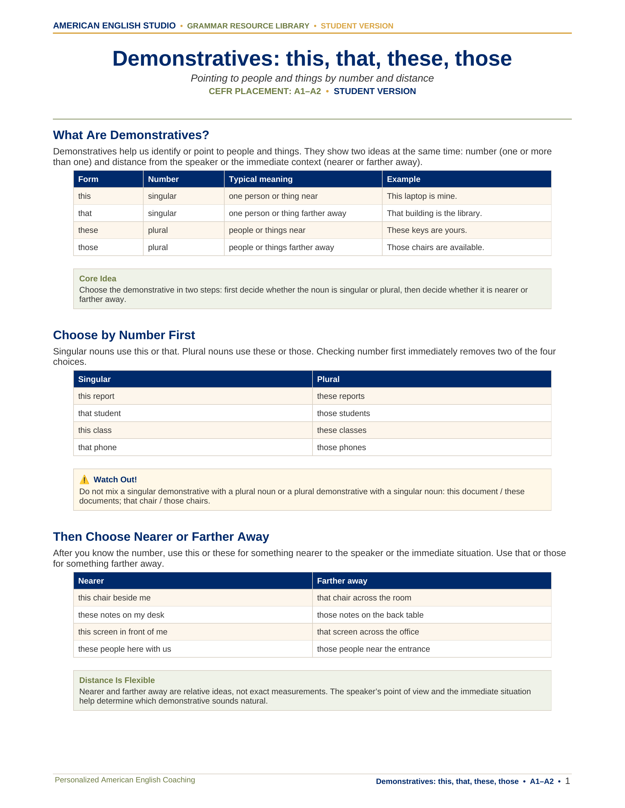 Demonstratives: this, that, these, those grammar resource preview