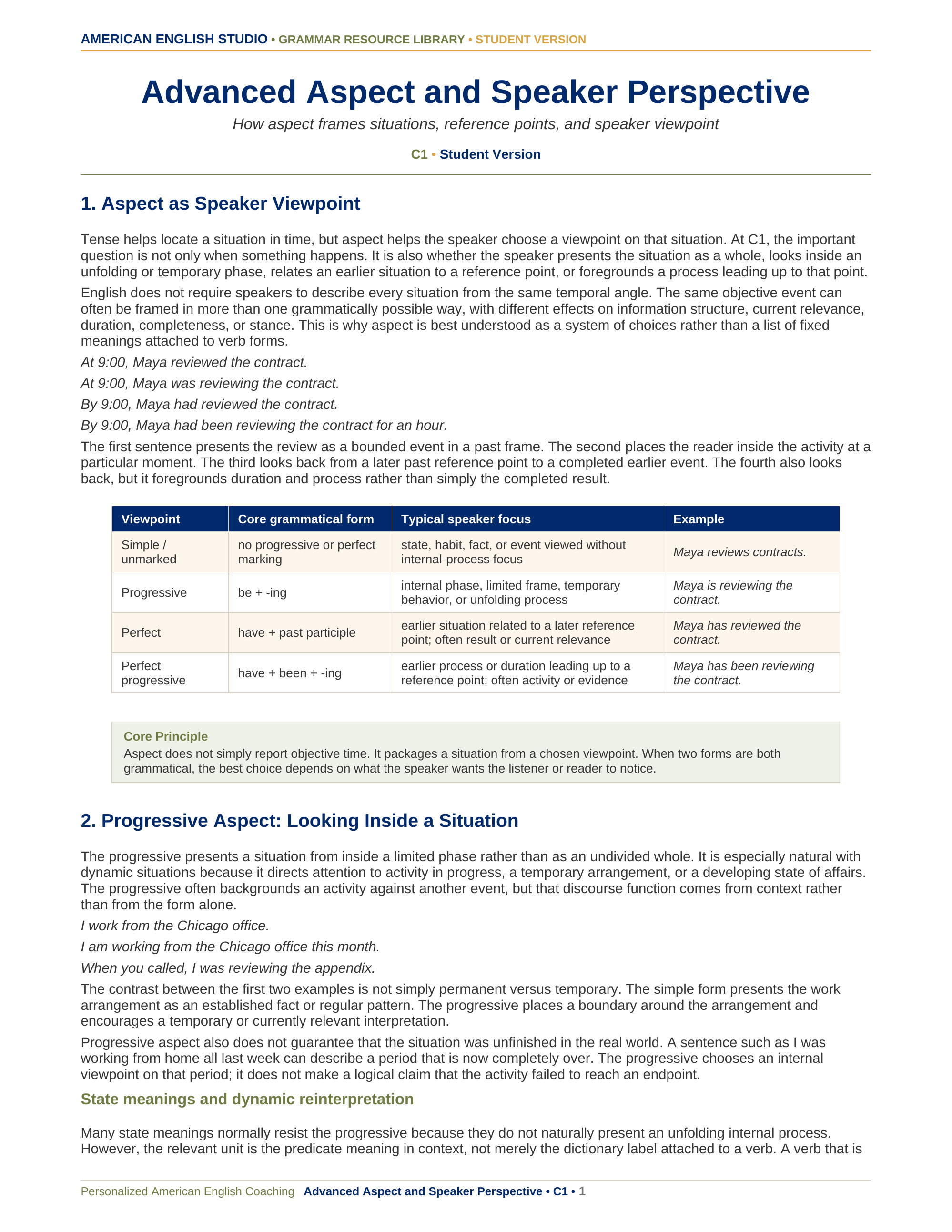 Advanced Aspect and Speaker Perspective grammar resource preview