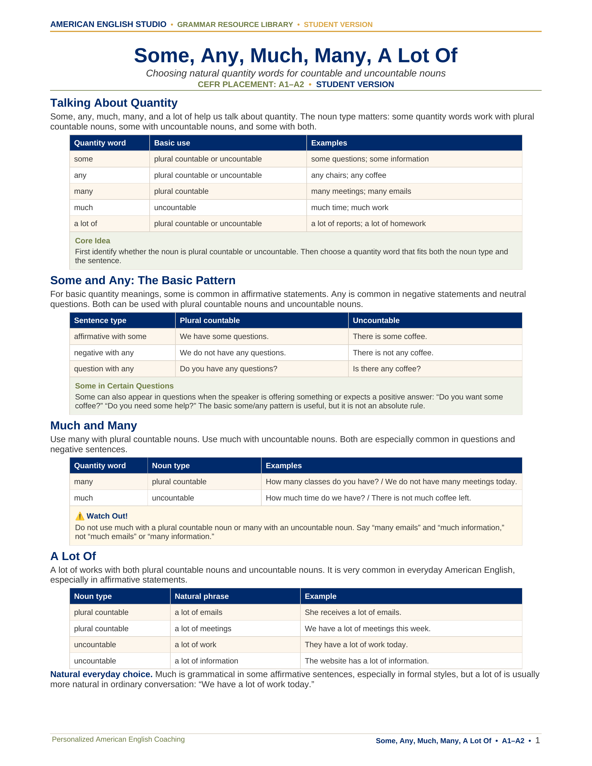 Some, Any, Much, Many, A Lot Of grammar resource preview