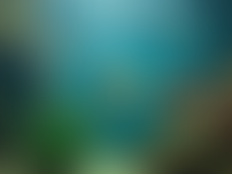 Find the Best Local Fish Stores for Your Aquarium Needs