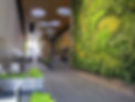 Living wall.jpg
