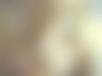 THE HIDDEN SOPHIA CODES