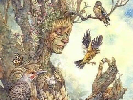 THE HIDDEN SOPHIA CODES