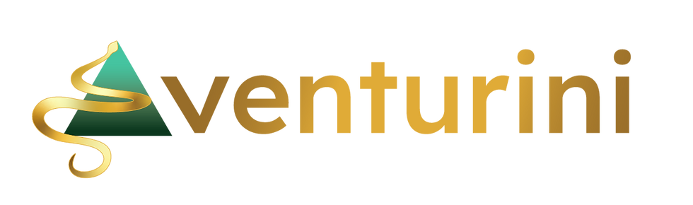 Aventurini logo Black-02 - Copy.png