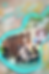 Đêm Nhạc Acoustic Kế Bên Sông Hàn Tại Quán Cafe Đà Nẵng