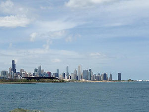 chicago kiws.jpeg