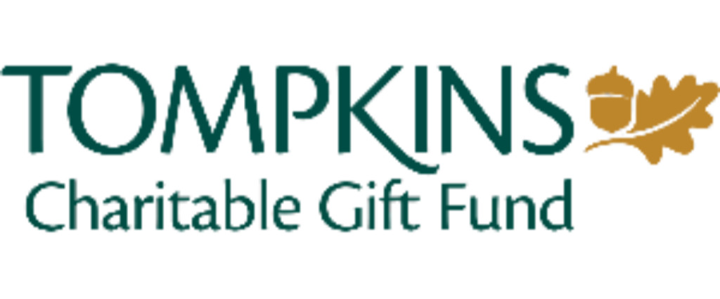 Sponsor logo