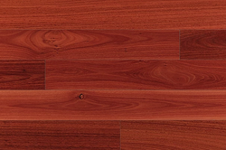 Jarrah