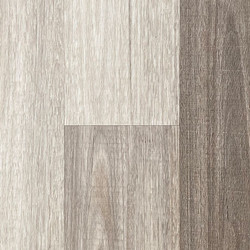 Highland Spotted Gum