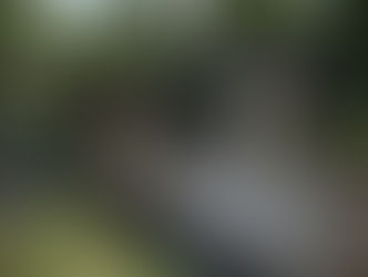 Makam Johan Kepler Panggabean, semasa hidupnya dikenal sebagai pengusaha nasional zaman Bung Karno. (Bisri/Historia.ID).