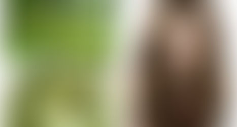 Tinh dầu bưởi nguyên chất TPHCM – Cách chưng cất sử dụng