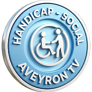 logo handicap social.png