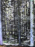 5. swedish forest oilpainting 30x50