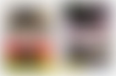 Biện pháp phòng trừ mọt đục cành cà phê