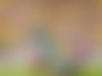 Brasil supera a Japón y avanza con autoridad a los octavos de final del Mundial 2026