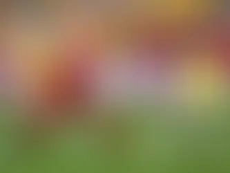 Suiza se impone desde los once pasos y deja fuera a Colombia en el Mundial
