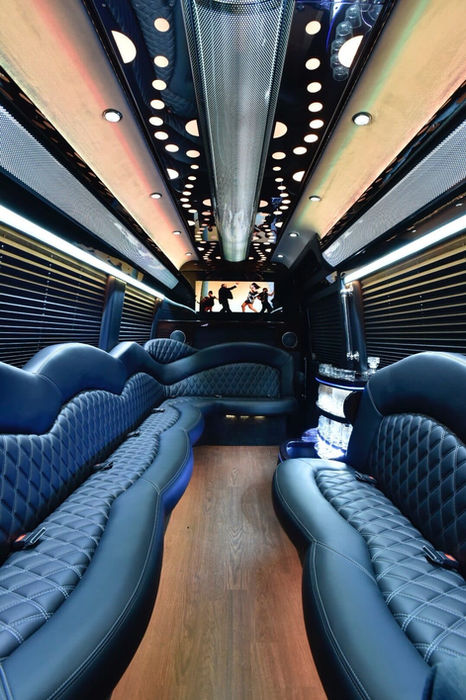 Sprinters party bus service Hamptons