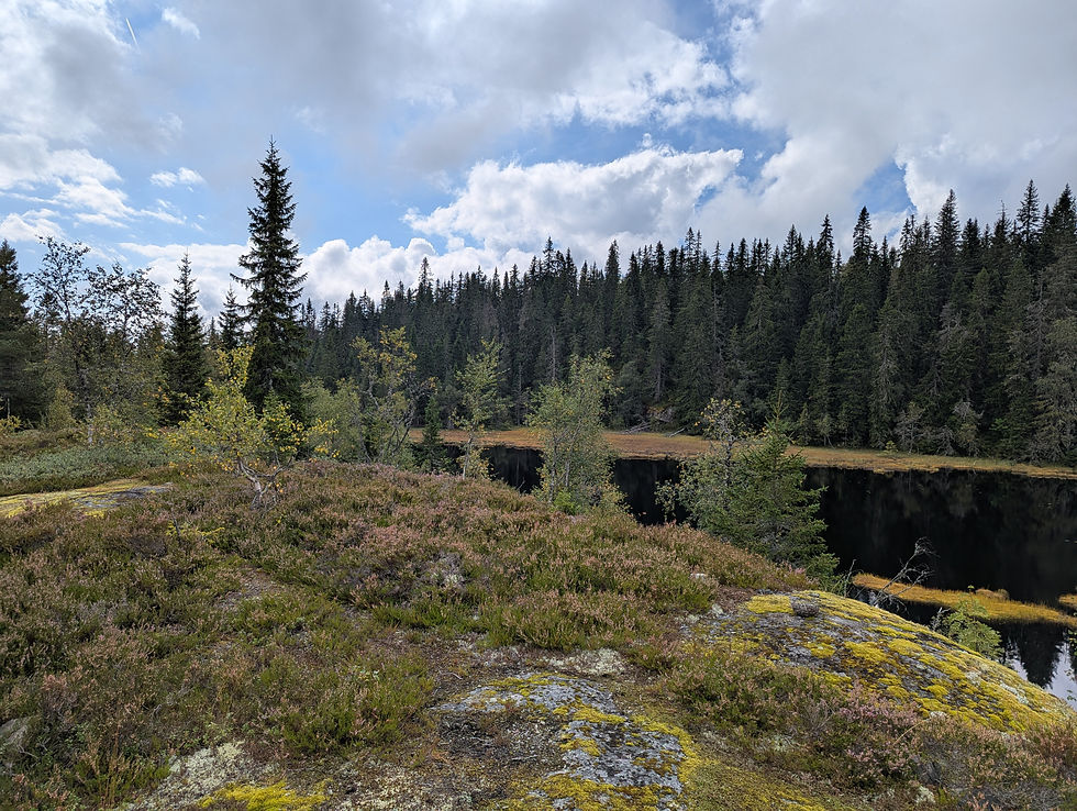 Teltplass med orkesterutsikt til Bjørneputten