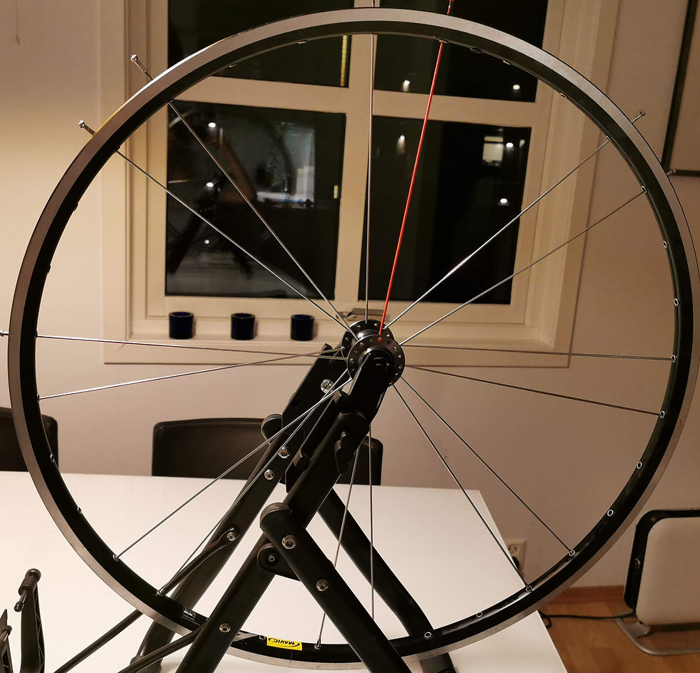 The second set of spokes connected to the rim