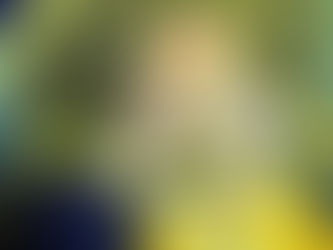 אנימציה אמריקאית- לא רק דיסני