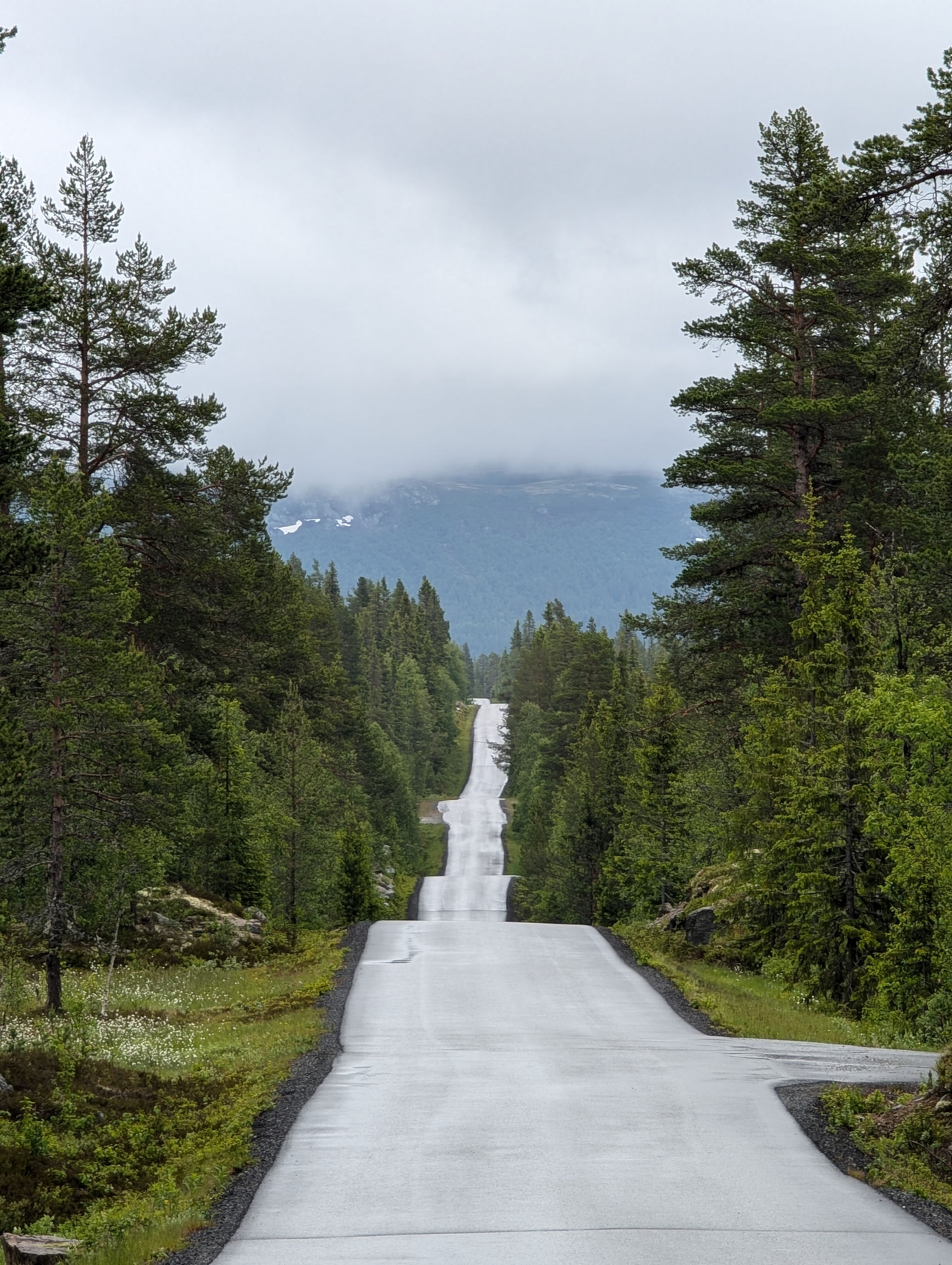 Asfaltvei ved Vegglifjell