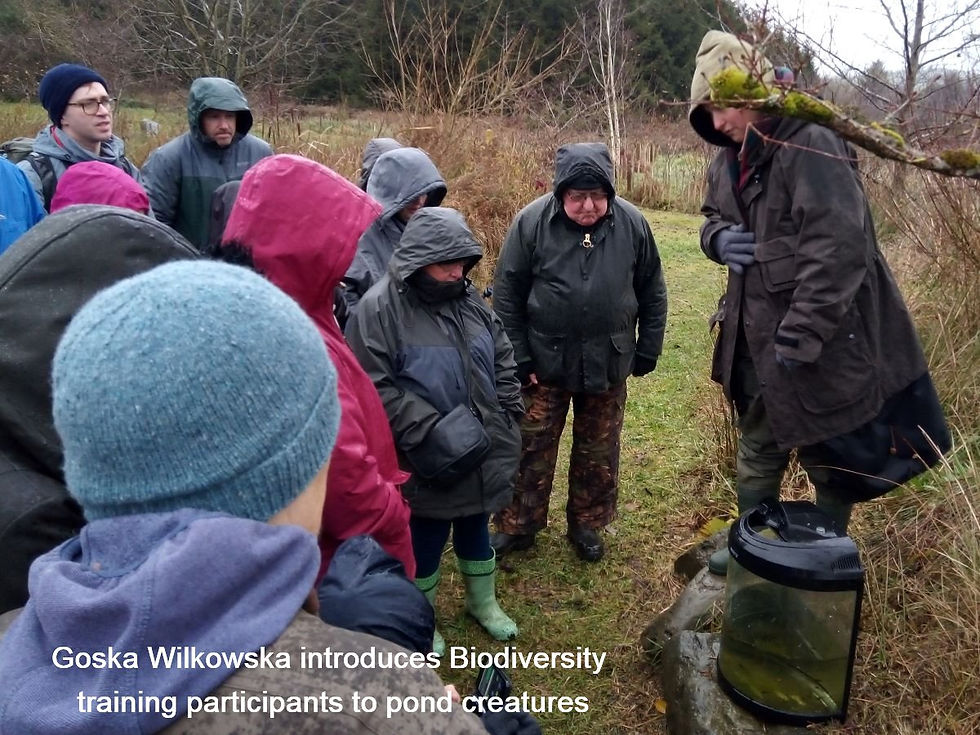 All liviing creatures within a small pond are vital to our biodiversity
