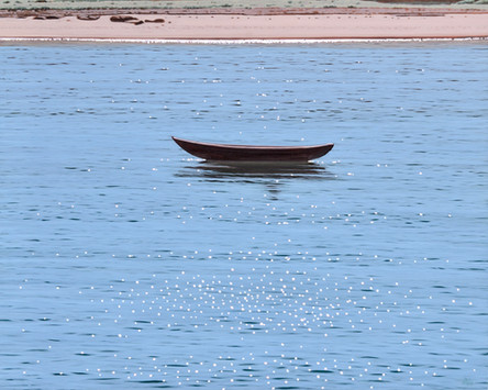 Drifting Near The Shore