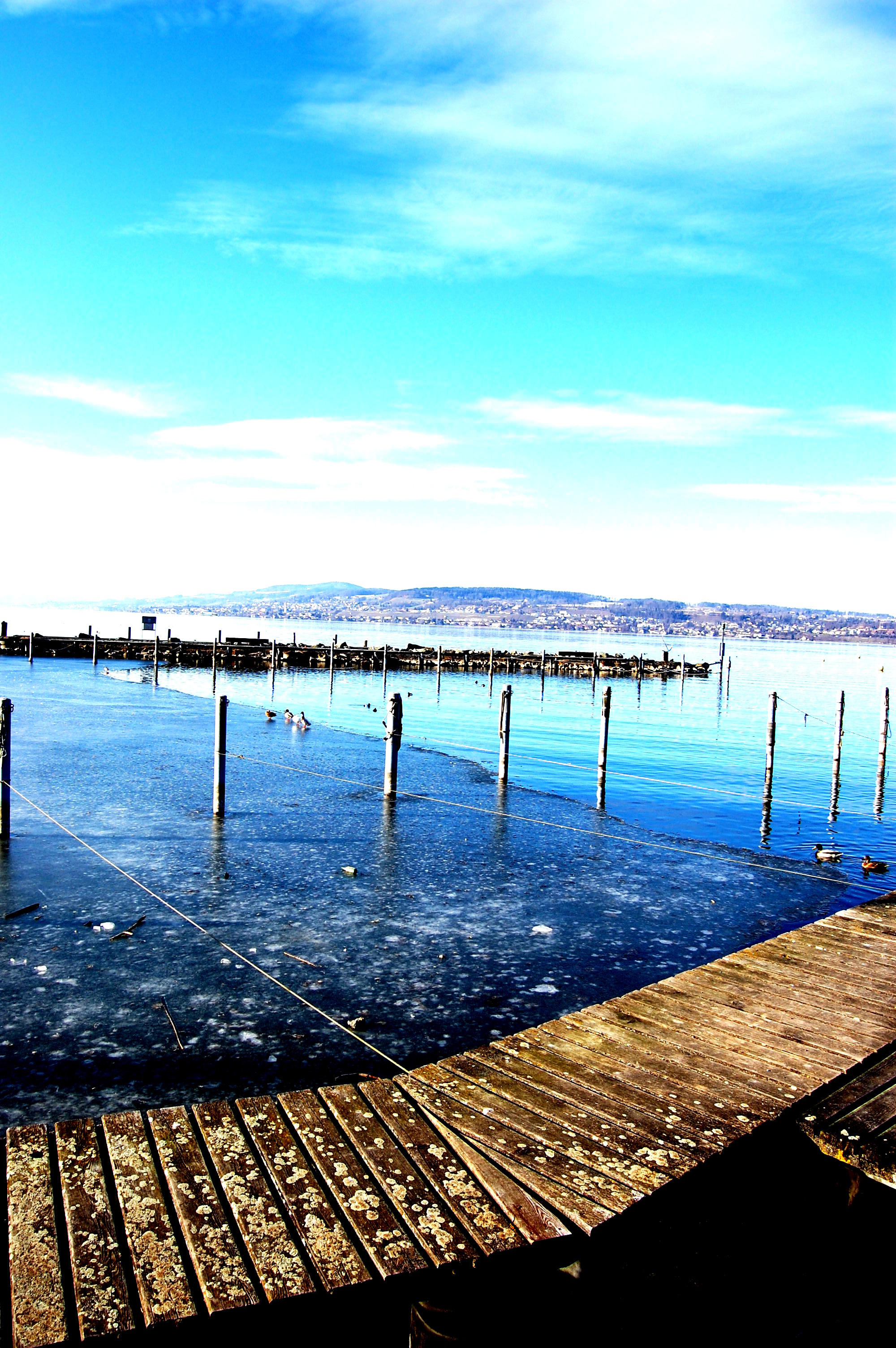 Zürichsee 80.00 CHF