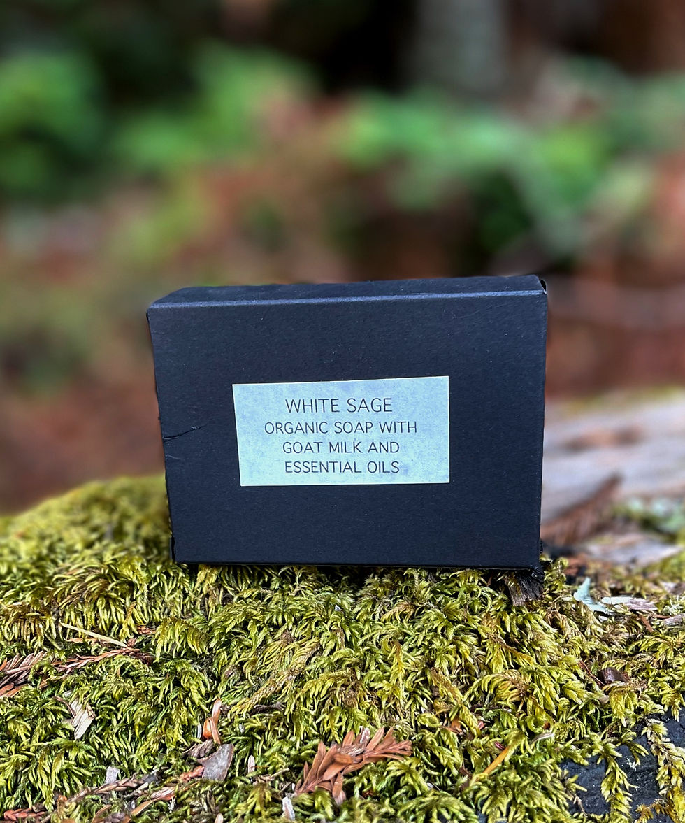 Thumbnail: White Sage Soap